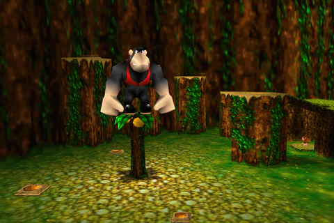 Conga perched on his orange tree beneath the wooded ledges