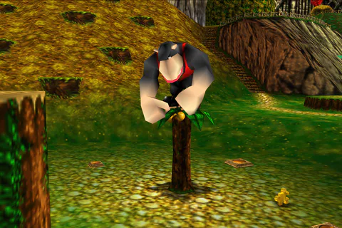 Conga leans forward on the tree with a Jiggy lying below