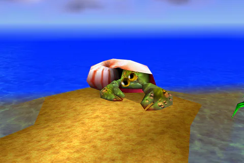 Nipper’s green body and shell against the sea