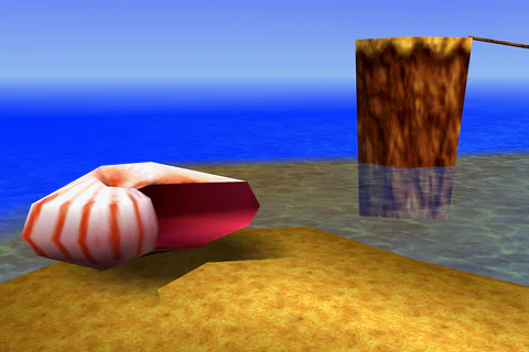Nipper’s empty shell after he withdraws from the beach