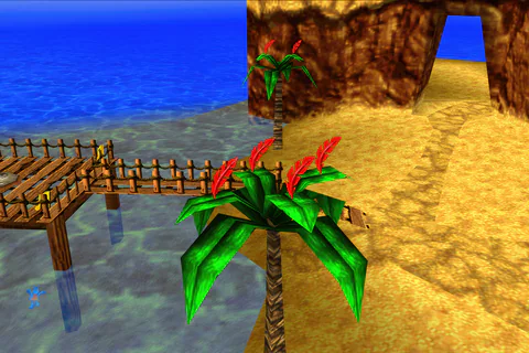 Red Feathers on top of a palm tree in Treasure Trove Cove